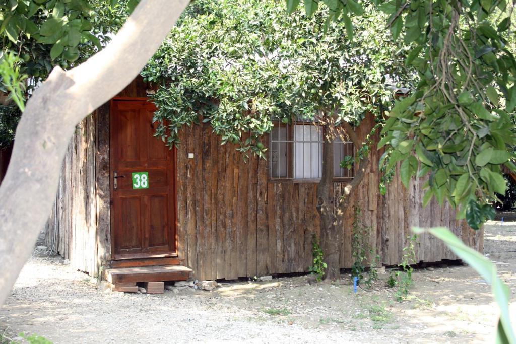 Saban Tree Houses Kumluca Room photo