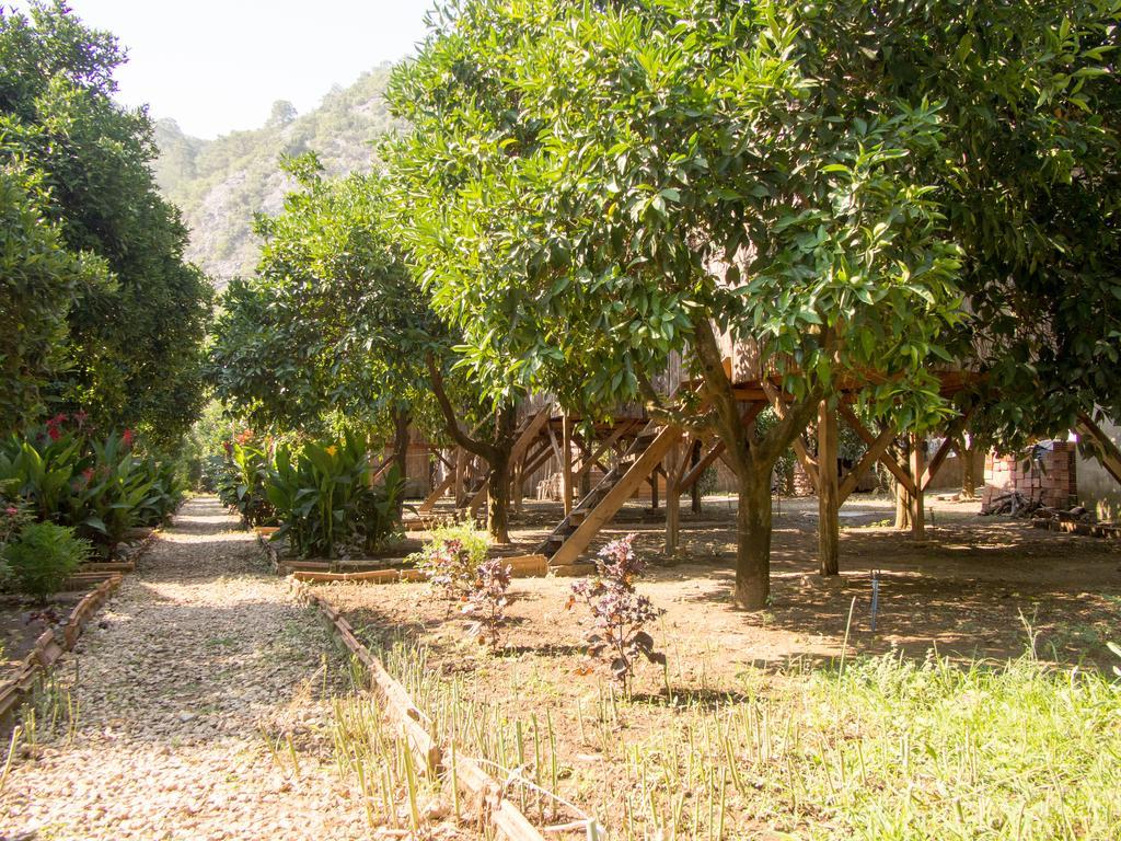 Saban Tree Houses Kumluca Exterior photo