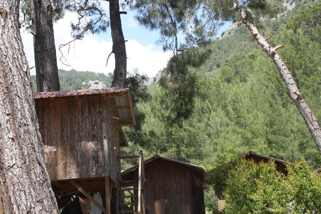 Saban Tree Houses Kumluca Exterior photo