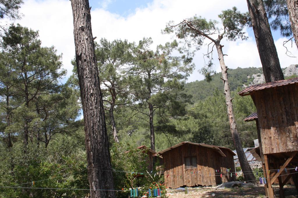 Saban Tree Houses Kumluca Exterior photo
