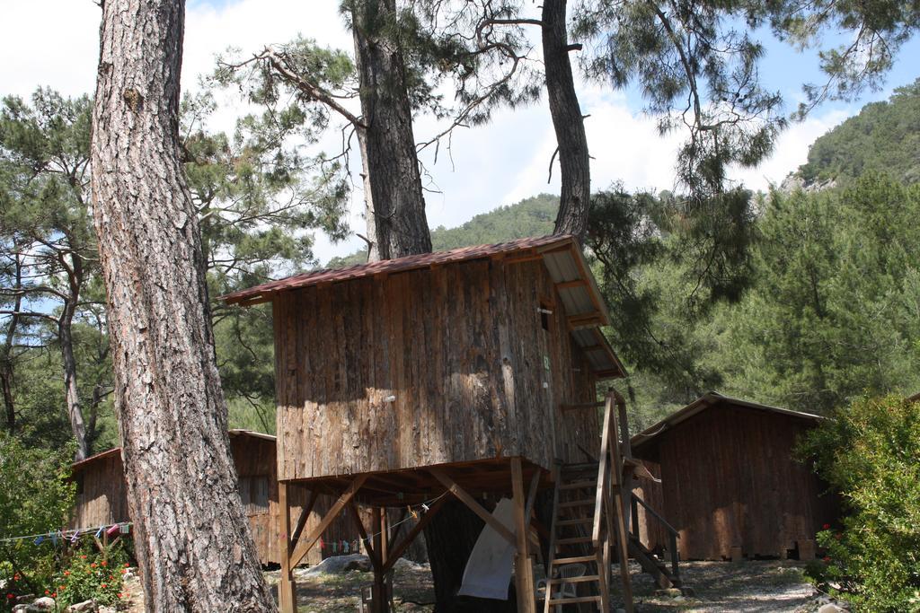 Saban Tree Houses Kumluca Exterior photo