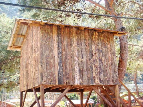 Saban Tree Houses Kumluca Exterior photo