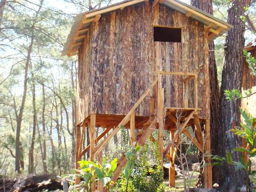 Saban Tree Houses Kumluca Exterior photo