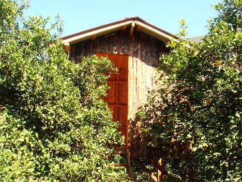 Saban Tree Houses Kumluca Exterior photo