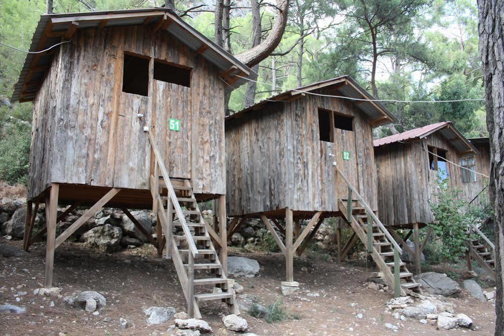 Saban Tree Houses Kumluca Exterior photo