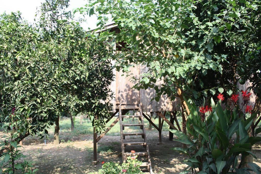 Saban Tree Houses Kumluca Exterior photo