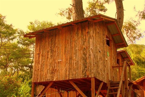 Saban Tree Houses Kumluca Exterior photo