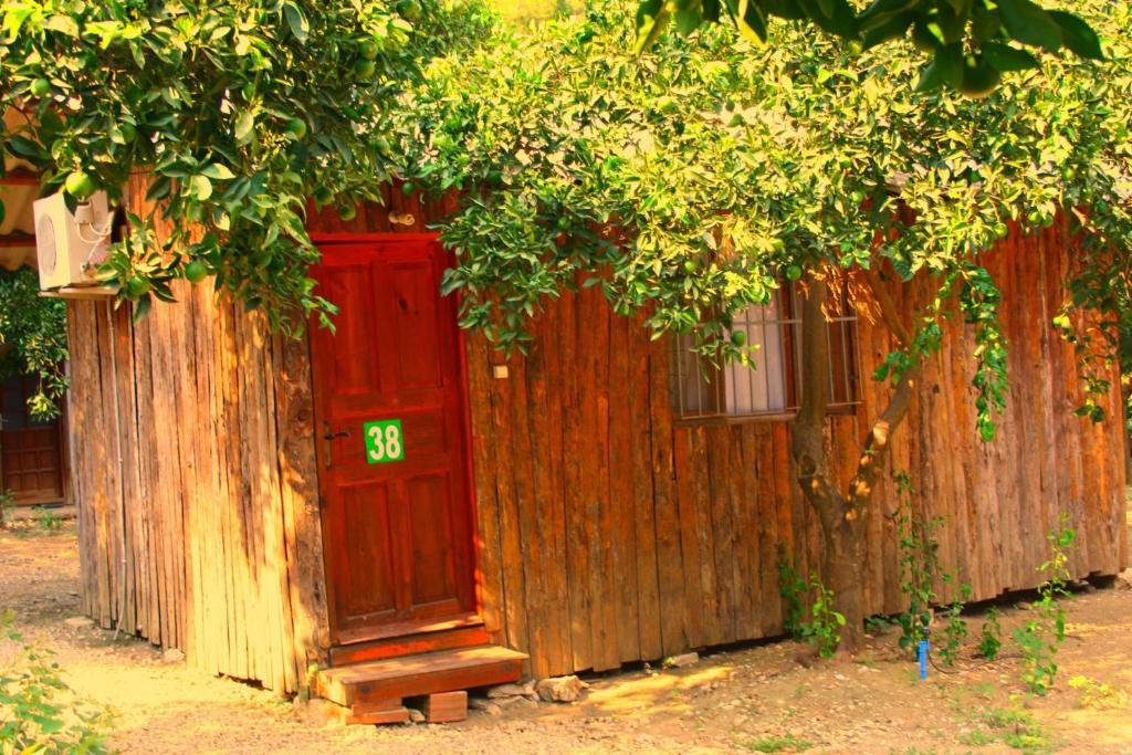 Saban Tree Houses Kumluca Exterior photo